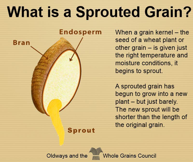WGC-sprouted-grain-slide.jpg