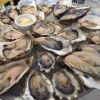 oysters.jpg