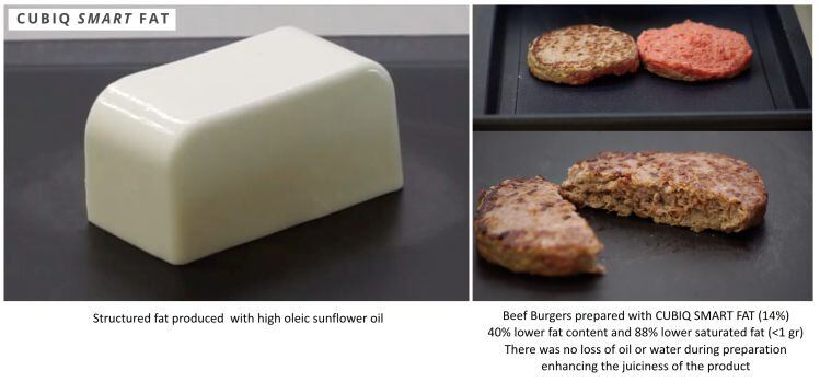cubiq-smart-fat.jpg