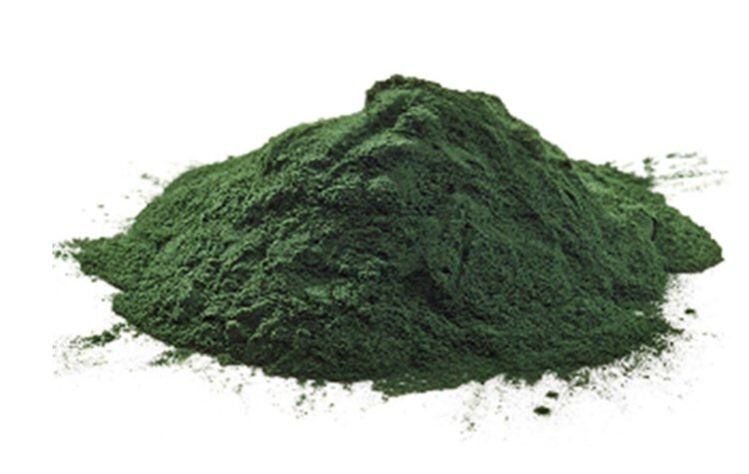 triton-algae.jpg