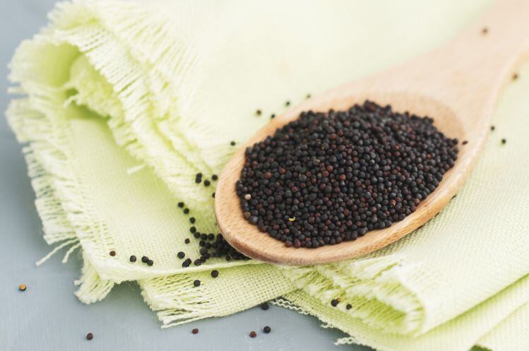 How are companies using canola protein? In conversation with Merit Functional Foods 
