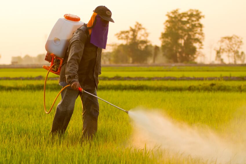 glyphosate-pesticide-herbicide-farm-field-Copyright-narongcp.jpg