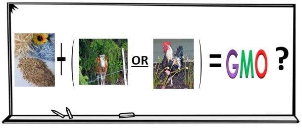 gmo-graphici-Kristen-Polovoy.jpg