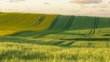 Sustainability: More than a Buzzword