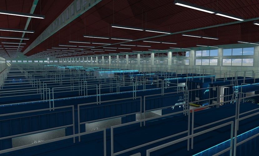 Urban shrimp farming startup Atarraya expands locally, thinks globally about food system