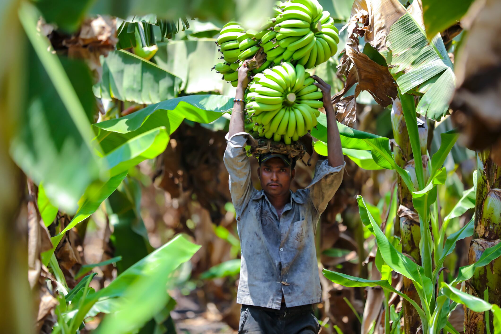 GettyImages-Nikhil-Patil.jpg