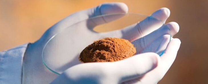 EpiCor_yeast-fementate-cropped.jpg