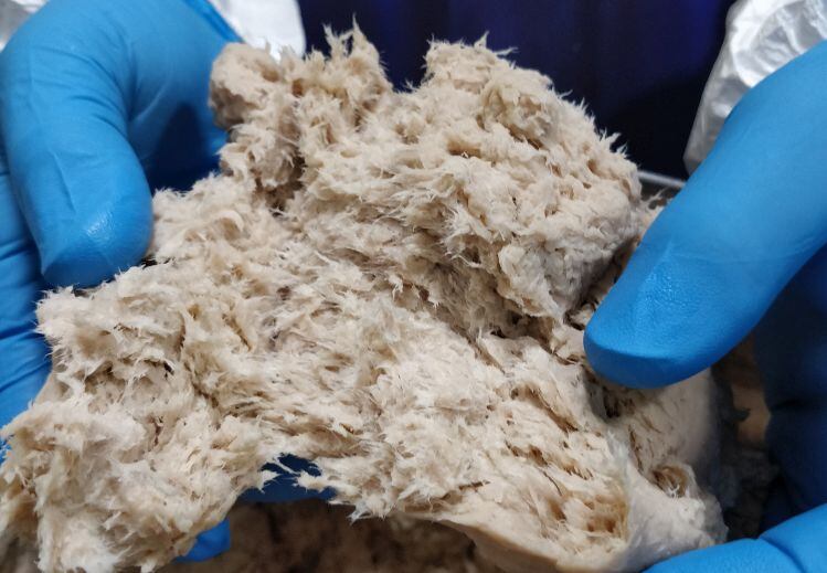 ‘Our food culture is changing at a rapid pace…’ Hormel Foods teams up with The Better Meat Co to develop meat alternatives featuring Rhiza mycoprotein