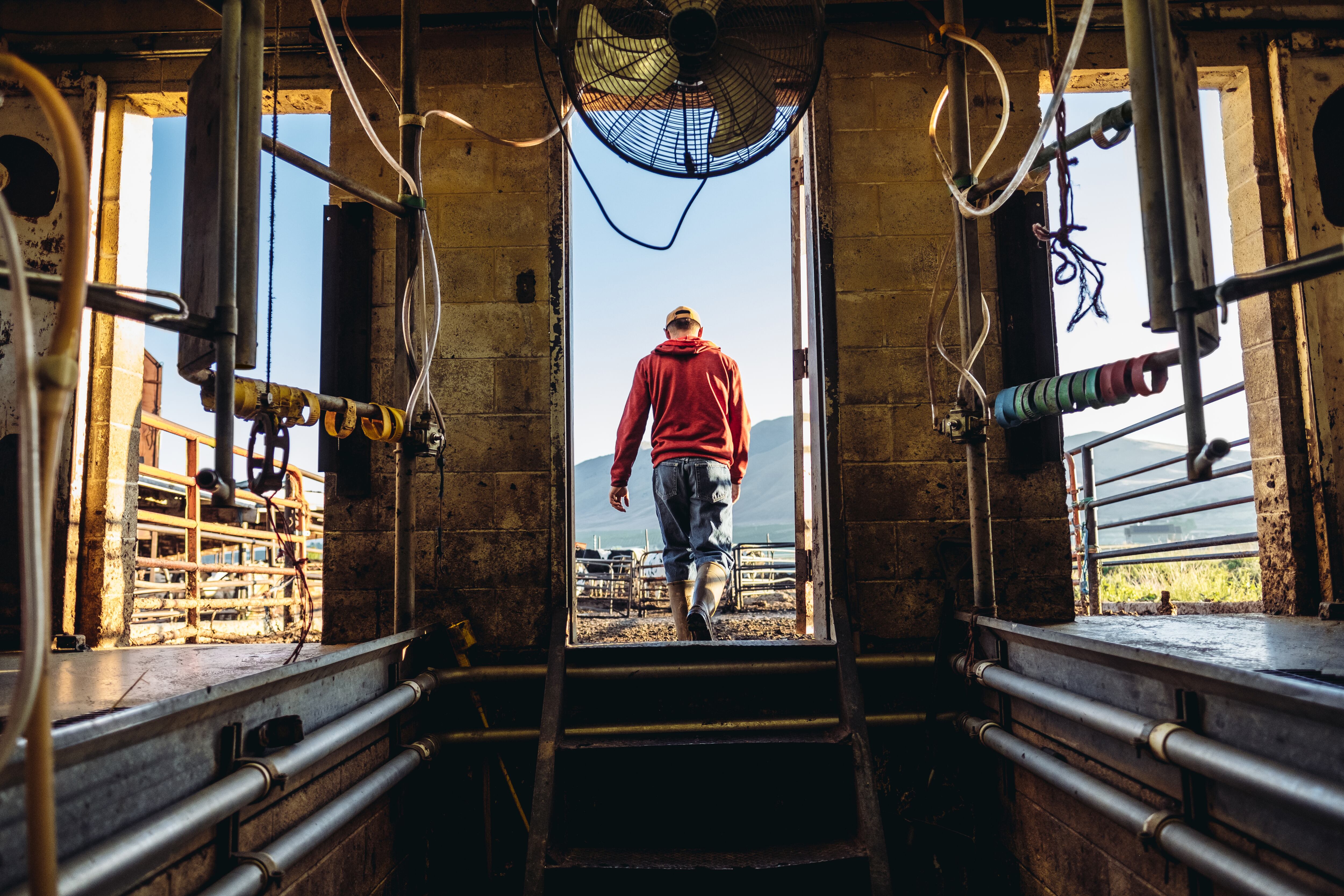 What next for the US dairy workforce under Trump?