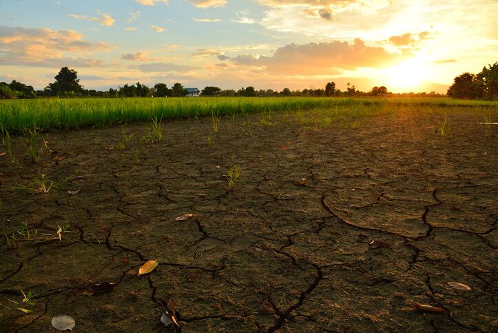 New database Latis from HowGood helps brands measure, improve their environmental impact