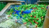 The holy grail of emulsions: precision-made, silicone-based solutions designed to keep lines moving