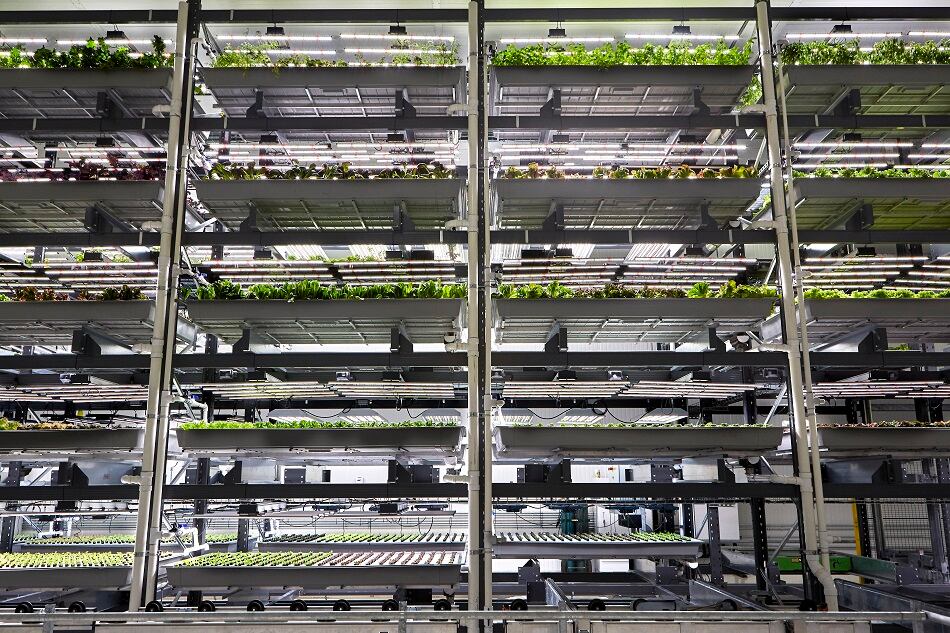 Bowery Farming appoints former Google exec as CTO 