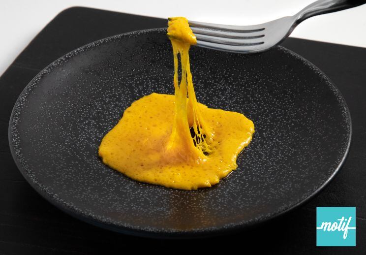 Plant-based cheese, meat, formulation gamechanger? Motif FoodWorks gains exclusive access to two ‘transformative’ technologies