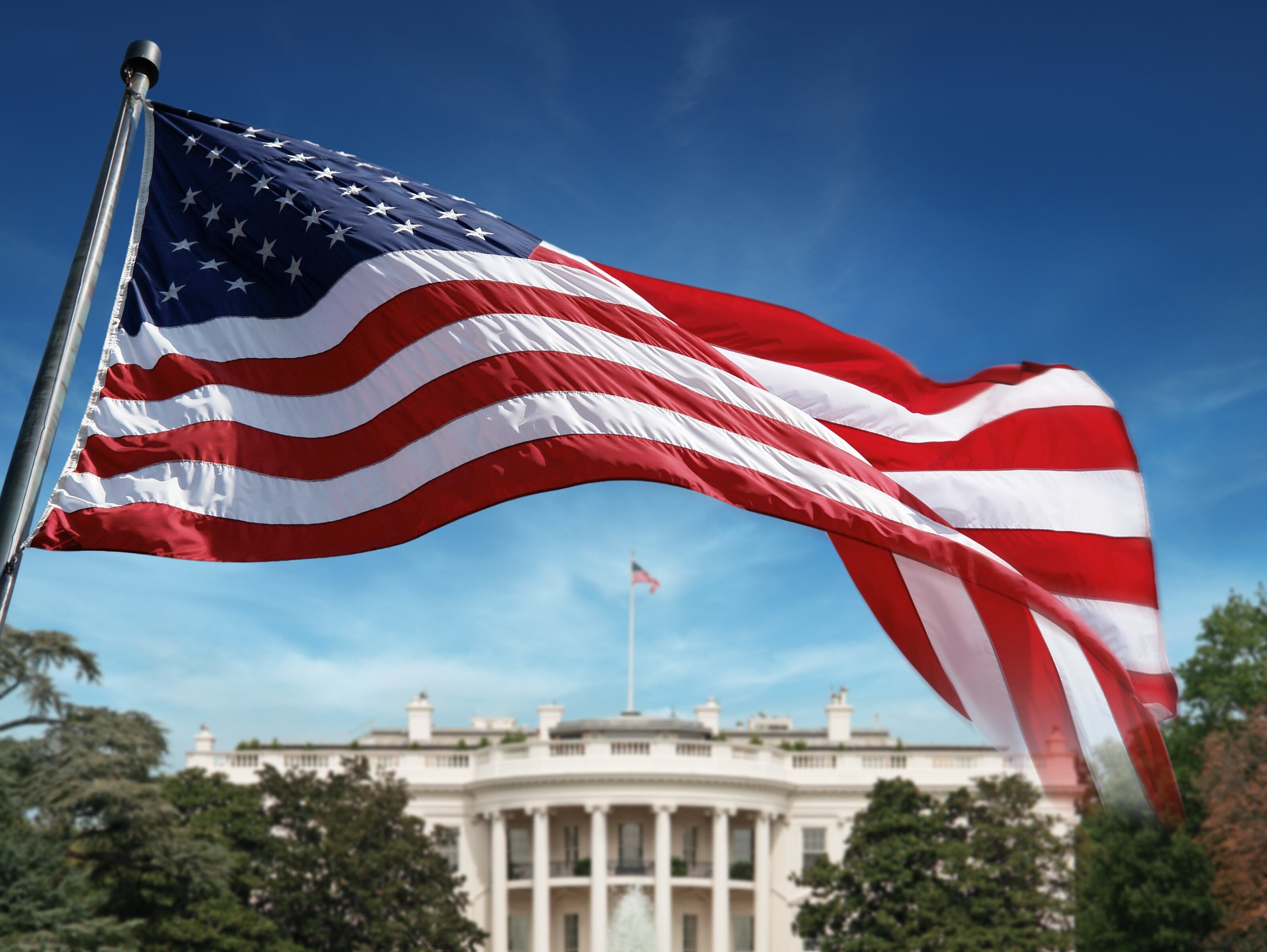 Trump tariffs could cripple international trade: How industry can prepare