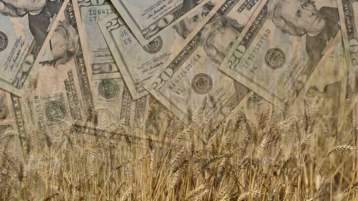 Funding SNAP and farm programs are mutually beneficial, policy makers and experts say