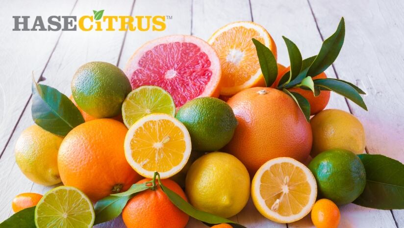 Vibrant, Fresh Citrus Taste That Lasts