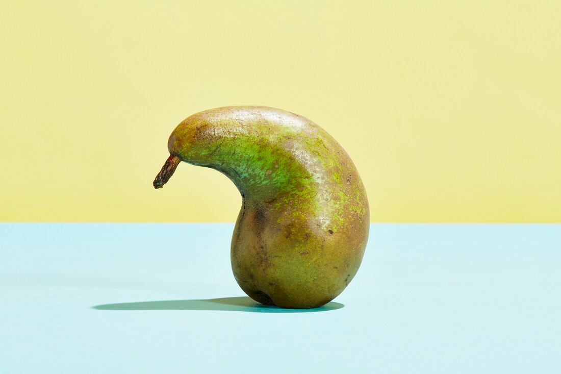 Full Harvest closes $23m Series B financing round