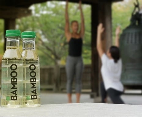 bamboo-cropped.jpg