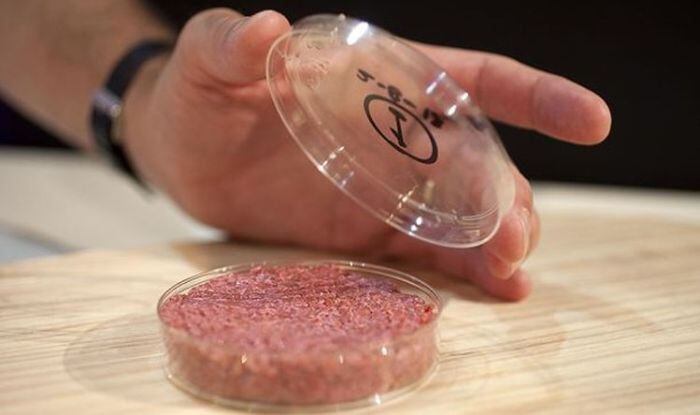 Cultured-Beef-Dr-Mark-Post-cropped.jpg