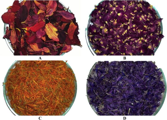 petals.jpg