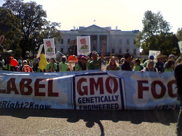 Millions-against-Monsanto.jpg