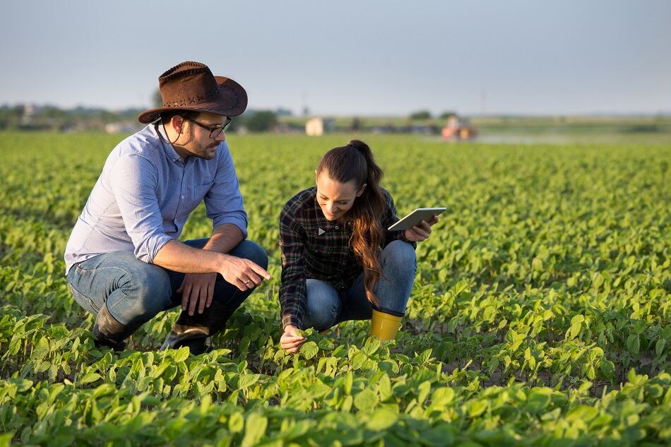 Benson-Hill-closes-150m-Series-D-funding-round-readies-for-2021-launch-of-ultra-high-protein-soybean.jpg