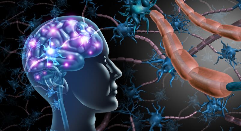 Polyphenols for the mind: review stresses “urgent need for more precise microbiome sequencing”