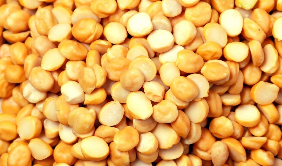 Merit Functional Foods secures FDA GRAS status for entire plant proteins portfolio 