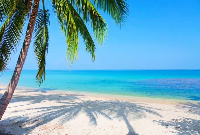palm-beach.jpg