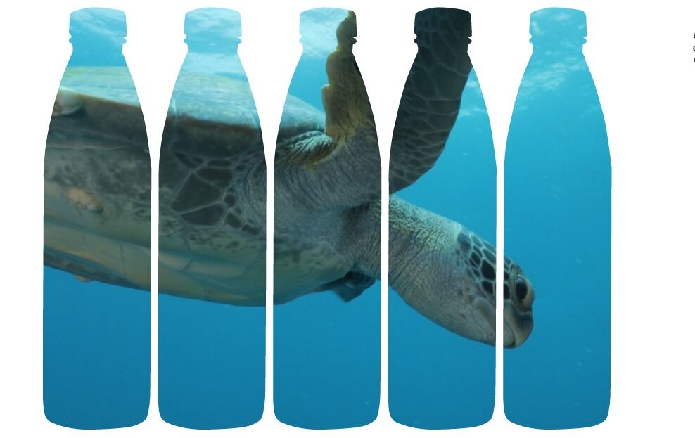 ZenWTR goes plastic negative on mission to reverse global plastic crisis