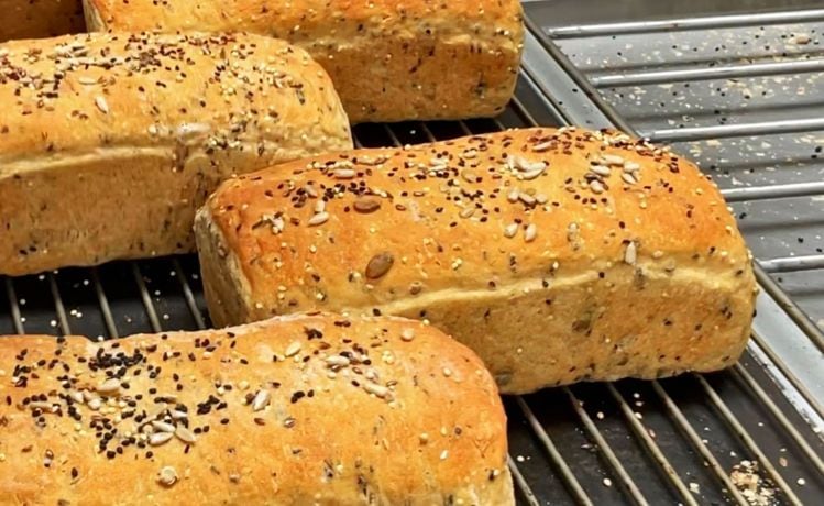 Equii raises $6M to scale up fermented grains platform: ‘Disrupting the staples category is our goal’
