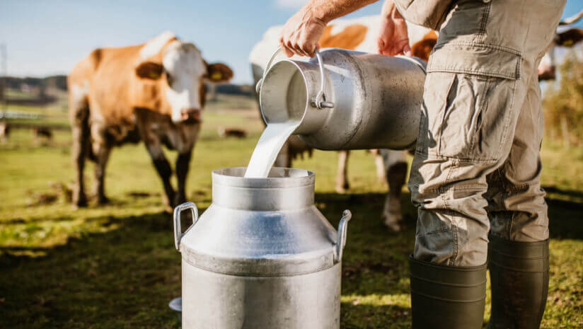 USDA-grants-11.04m-for-dairy-producers-businesses-to-spur-innovation-across-the-country.jpg