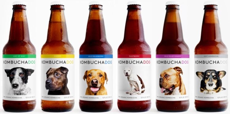 Kombucha-Dog.jpg