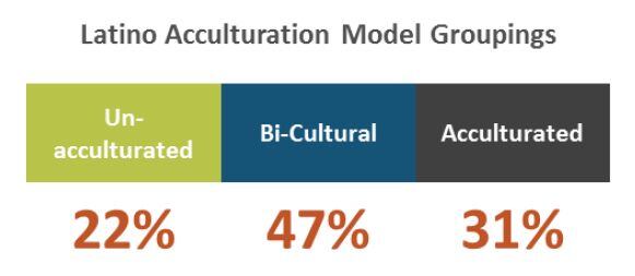 Hartman-Group-Latino-consumers-acculturation-levels.jpg