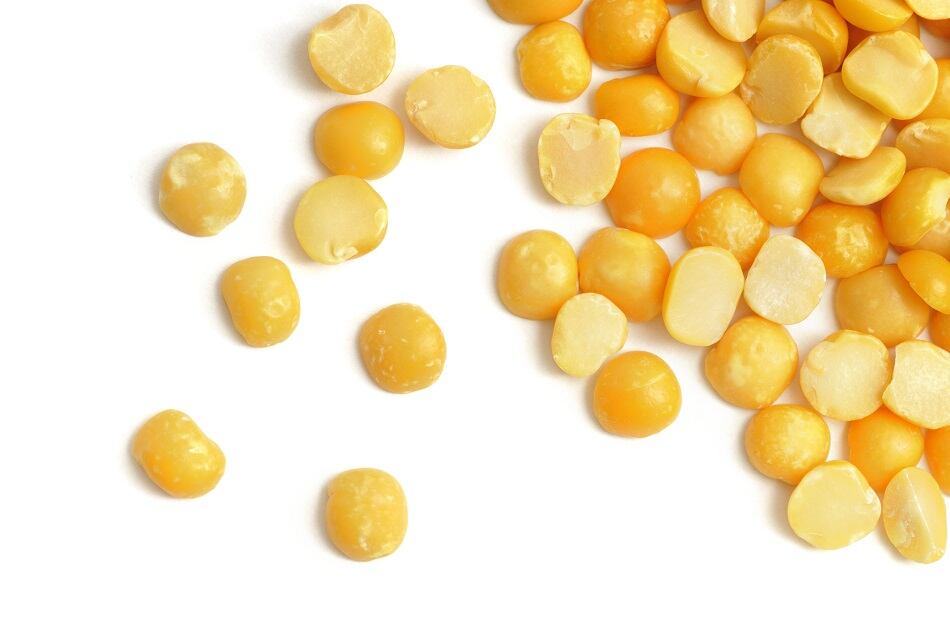 'Yellow pea is full of promise and potential': Equinom and AGT partner to commercialize ultra-high yellow pea protein