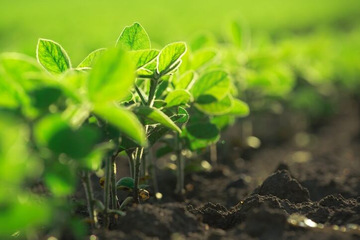 Most consumers don’t link diet & climate, but sustainability marketing could boost plant-based sales