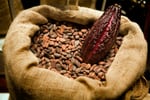 cocoa-istock-Elena-Korenbaum.jpg