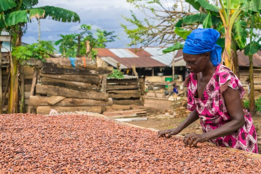 Fairtrade launches new map to identify human rights and environmental risks in cocoa and other commodities