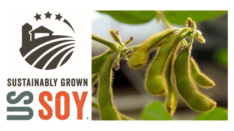 sustainably-grown-US-soy.jpg