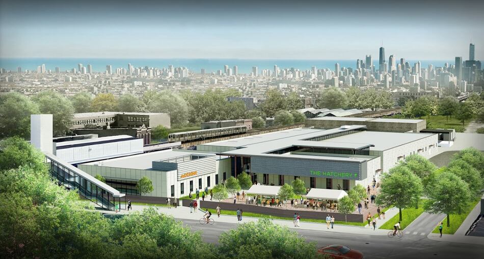 Mondelēz International invests in Chicago food incubator, The Hatchery