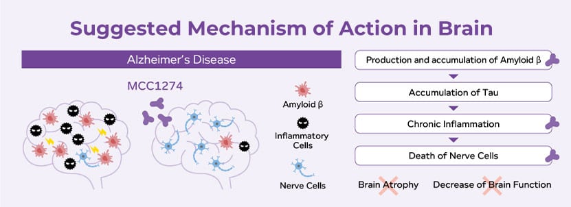 Mechanism of Action in Brain