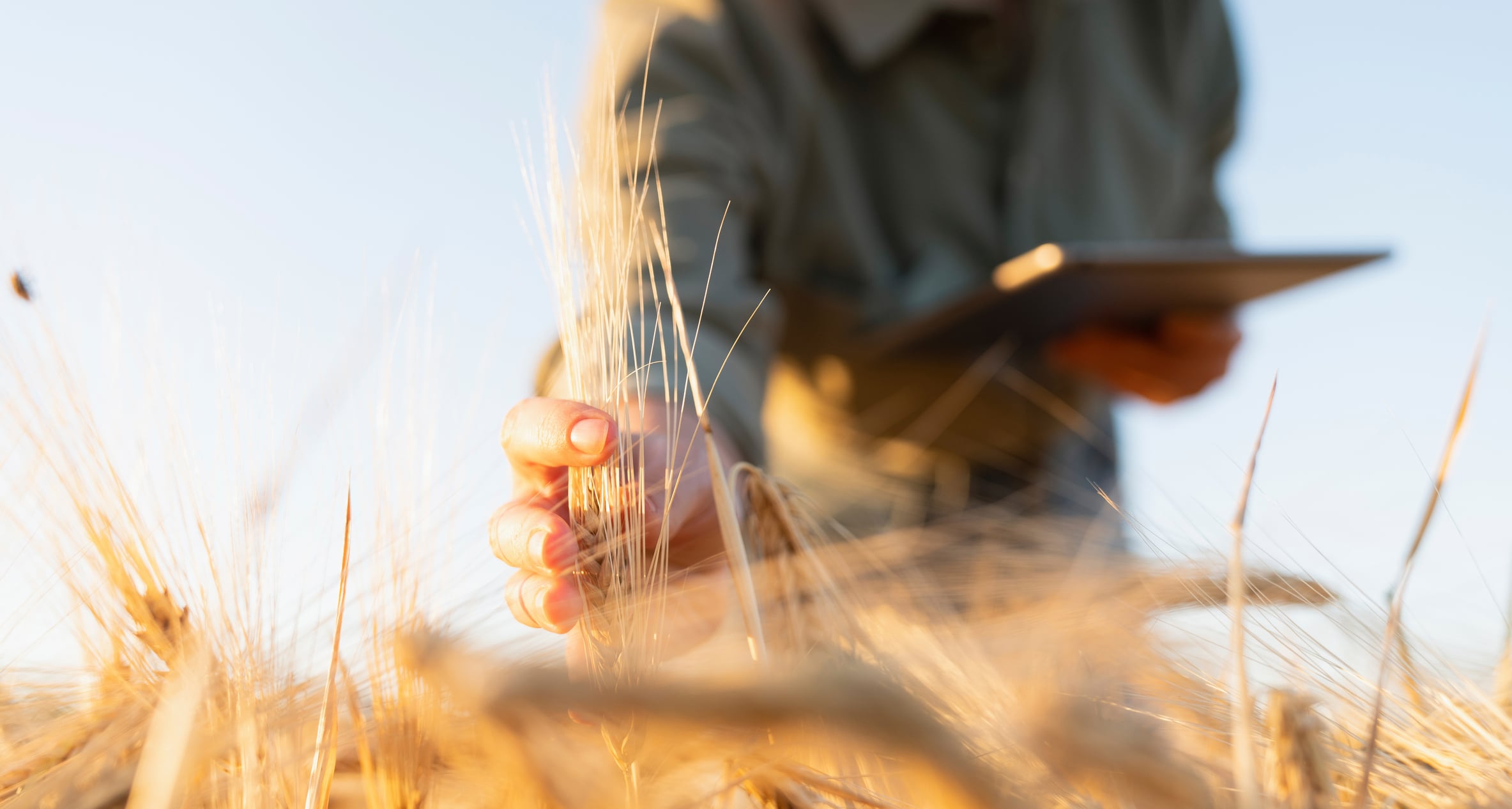 German-based Klim helps food companies reduce emissions within their own supply chains by supporting farmers to adopt regenerative agriculture.