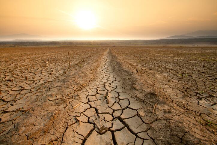 Eight crops endangered by climate change