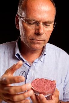 Cultured-Beef-3_FN.jpg