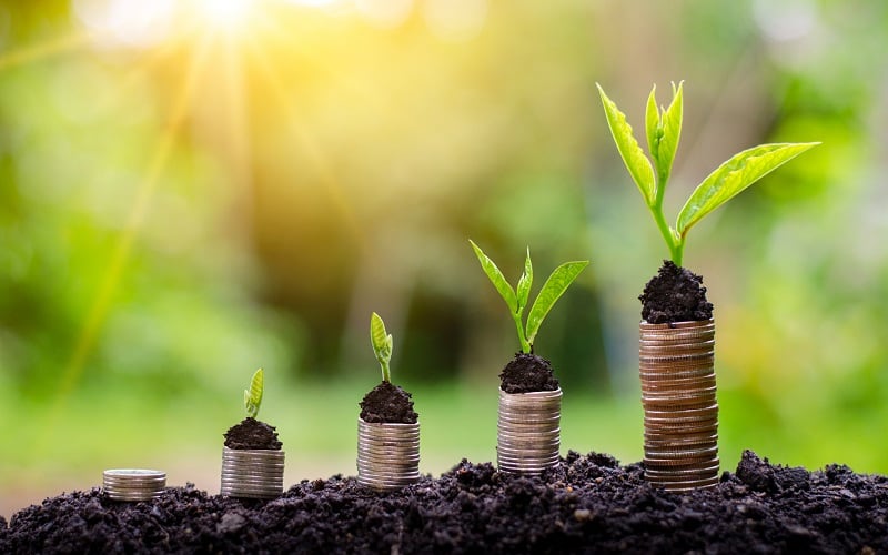 Plant-based-CPG-brands-return-to-fundamentals-amid-new-market-dynamics.jpg