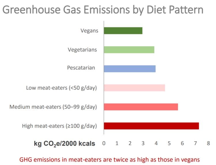 GHG-emissions-sabate.jpg
