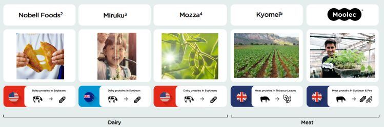 molecular-farming.jpg