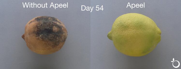 apeel-citrus.png