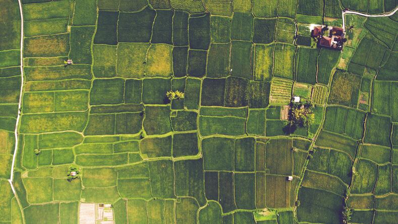 Organic sales, farms up double digits, but acreage rises only high singles – signaling need for support 