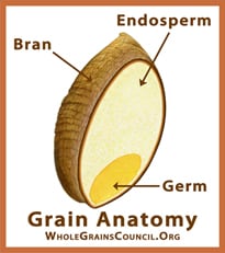 whole-grain.jpg